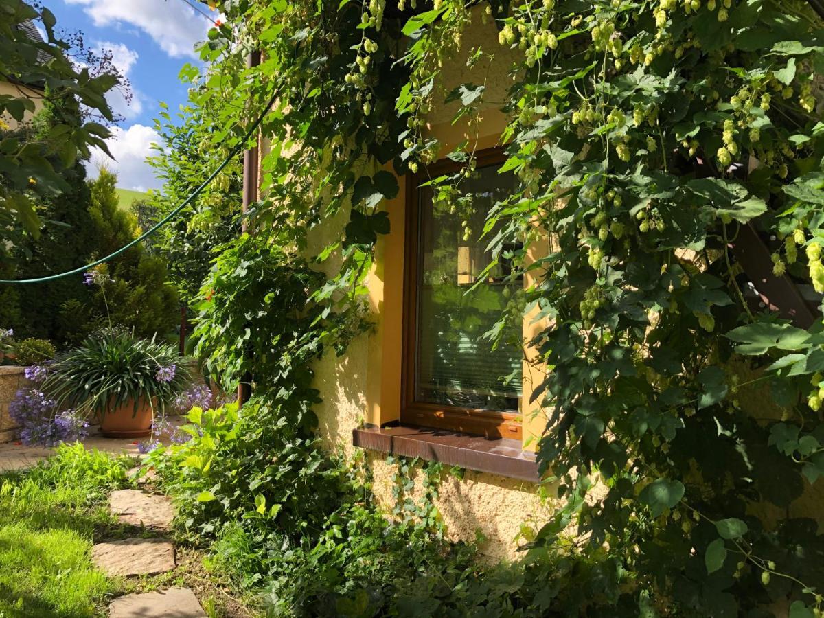 Ferienhaus Erzgebirge An der Trebe mit Kamin und Sauna Neuhausen  Exterior foto