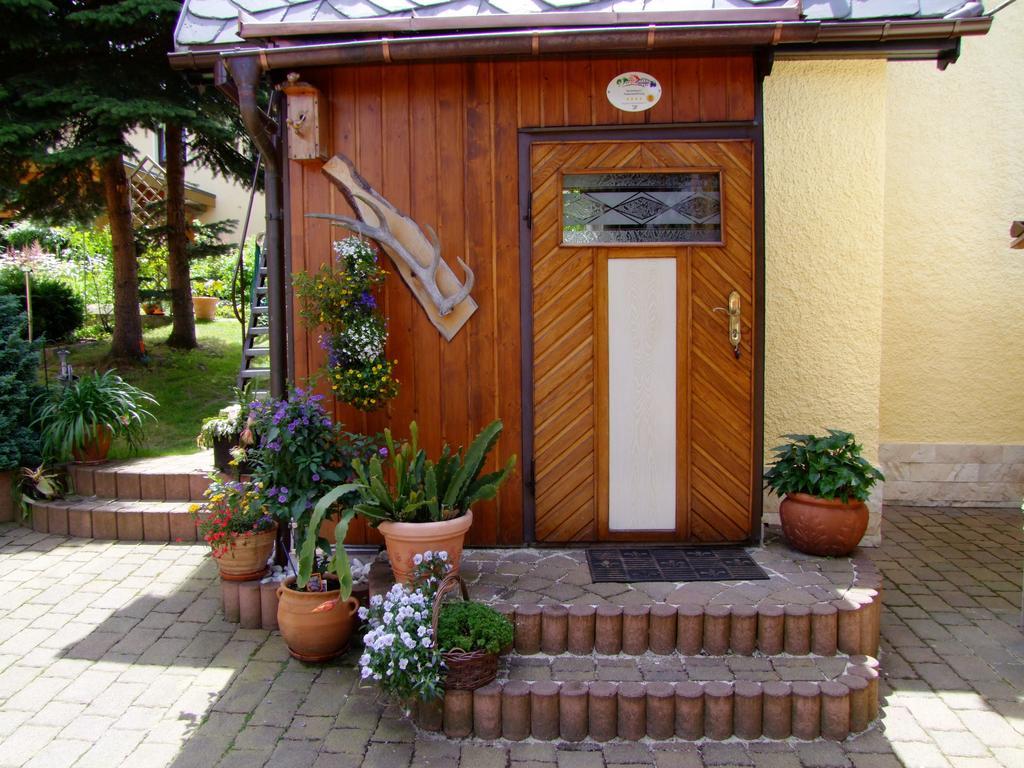 Ferienhaus Erzgebirge An der Trebe mit Kamin und Sauna Neuhausen  Zimmer foto